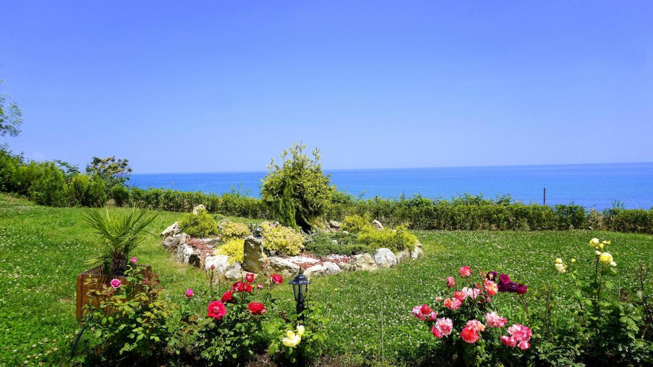 Бяла Клиф Форест - Byala Cliff Forest Exterior photo